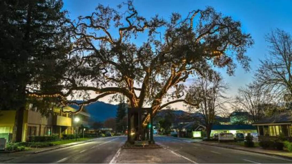 Downtown Danville California